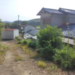 裏の山道
