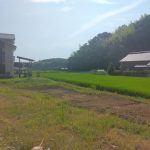 のどかに広がる田園風景